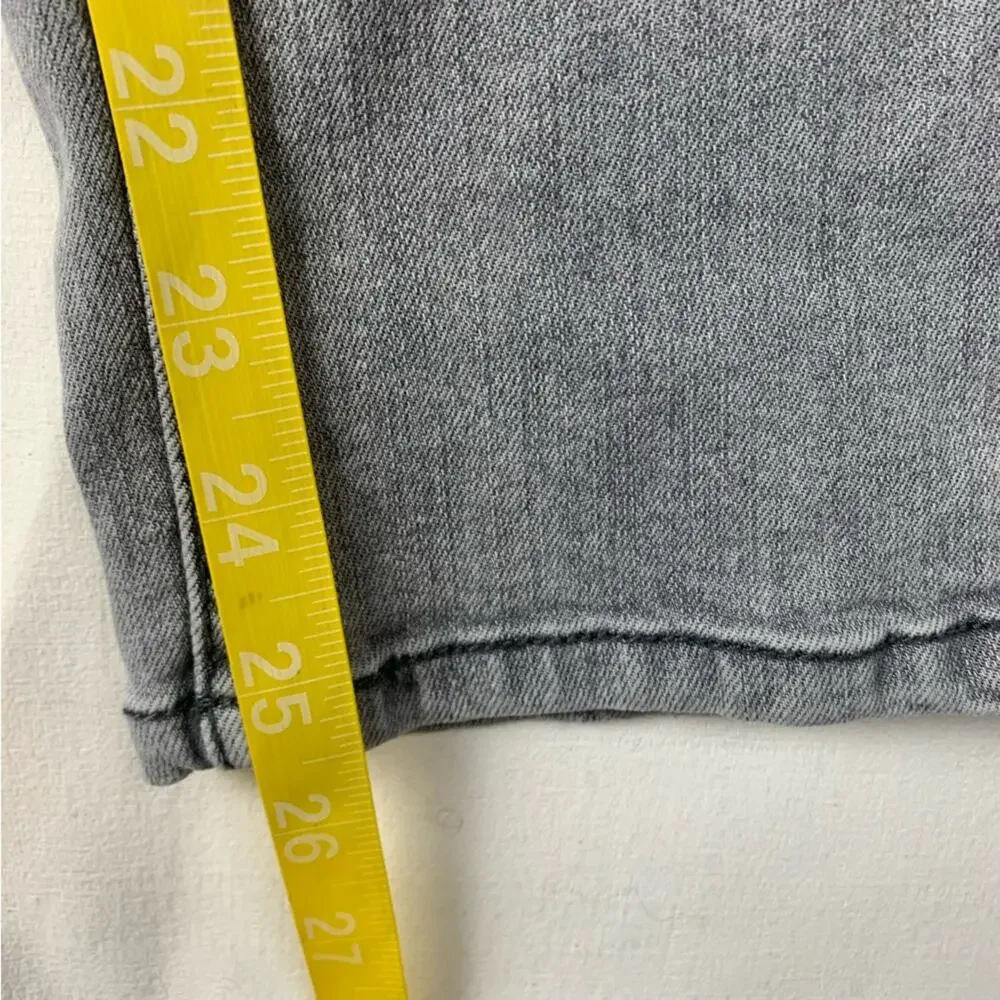 Democracy absolution gray